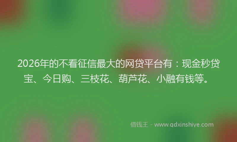 2026年的不看征信最大的网贷平台有：现金秒贷宝、今日购、三枝花、葫芦花、小融有钱等。