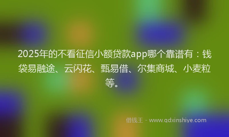 2025年的不看征信小额贷款app哪个靠谱有:钱袋易融途、云闪花、甄易借、尔集商城、小麦粒等。