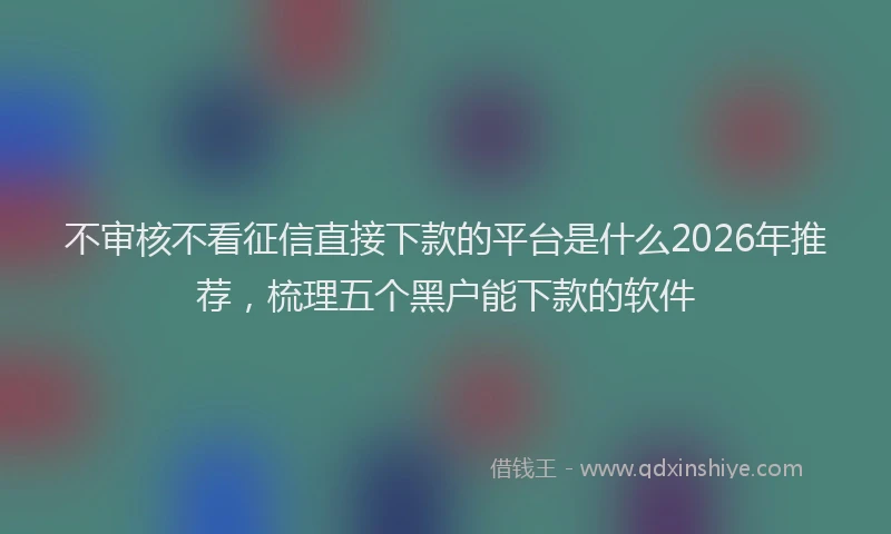 不审核不看征信直接下款的平台是什么2026年推荐，梳理五个黑户能下款的软件