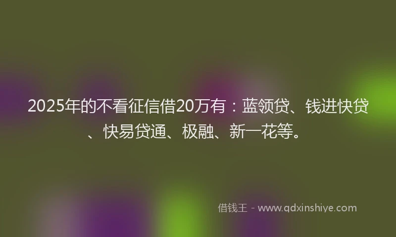 2025年的不看征信借20万有:蓝领贷、钱进快贷、快易贷通、极融、新一花等。
