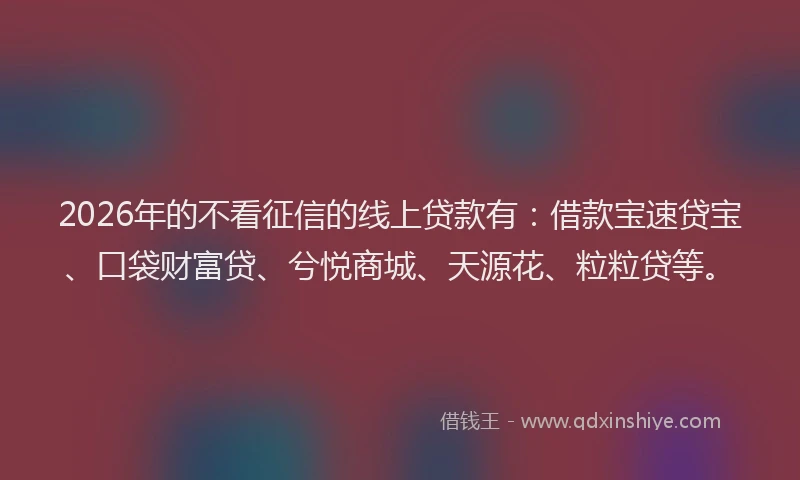 2026年的不看征信的线上贷款有：借款宝速贷宝、口袋财富贷、兮悦商城、天源花、粒粒贷等。