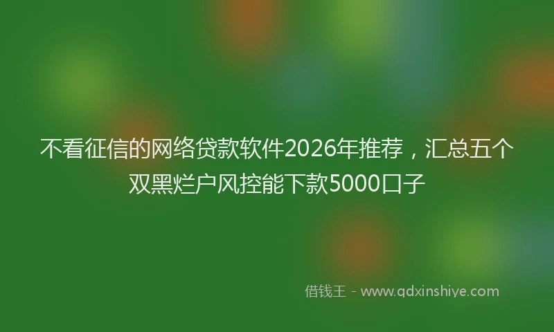 不看征信的网络贷款软件2026年推荐，汇总五个双黑烂户风控能下款5000口子