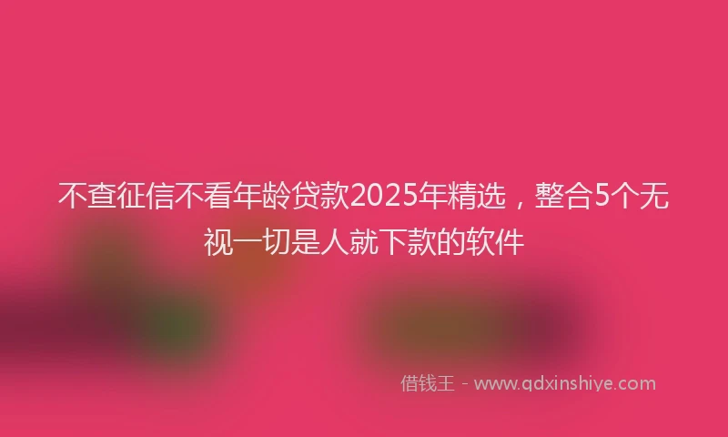 不查征信不看年龄贷款2025年精选，整合5个无视一切是人就下款的软件