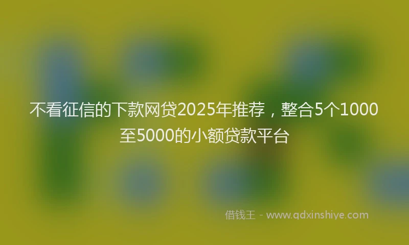 不看征信的下款网贷2025年推荐，整合5个1000至5000的小额贷款平台