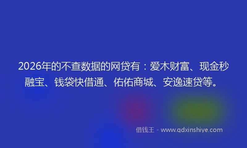 2026年的不查数据的网贷有：爱木财富、现金秒融宝、钱袋快借通、佑佑商城、安逸速贷等。