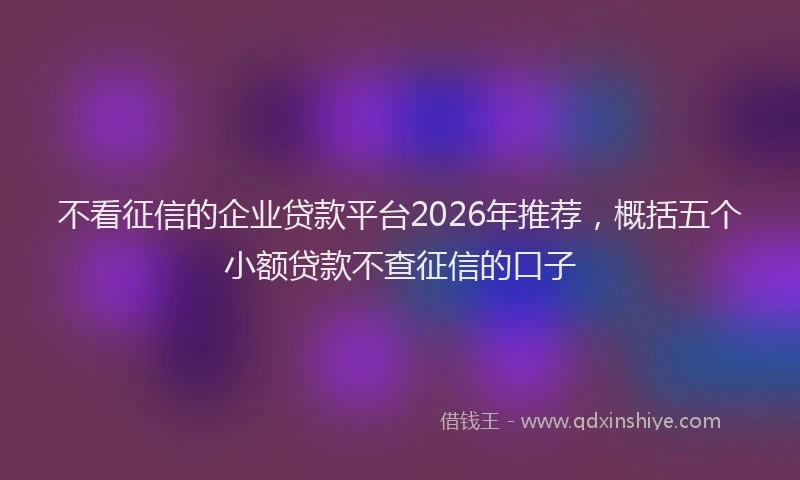 不看征信的企业贷款平台2026年推荐，概括五个小额贷款不查征信的口子