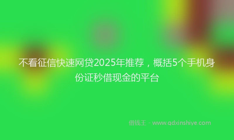 不看征信快速网贷2025年推荐，概括5个手机身份证秒借现金的平台