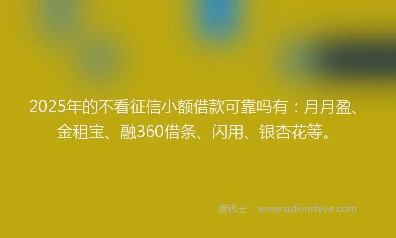 2025年的不看征信小额借款可靠吗有：月月盈、金租宝、融360借条、闪用、银杏花等。