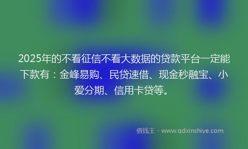 2025年的不看征信不看大数据的贷款平台一定能下款有：金峰易购、民贷速借、现金秒融宝、小爱分期、信用卡贷等。
