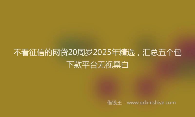 不看征信的网贷20周岁2025年精选，汇总五个包下款平台无视黑白