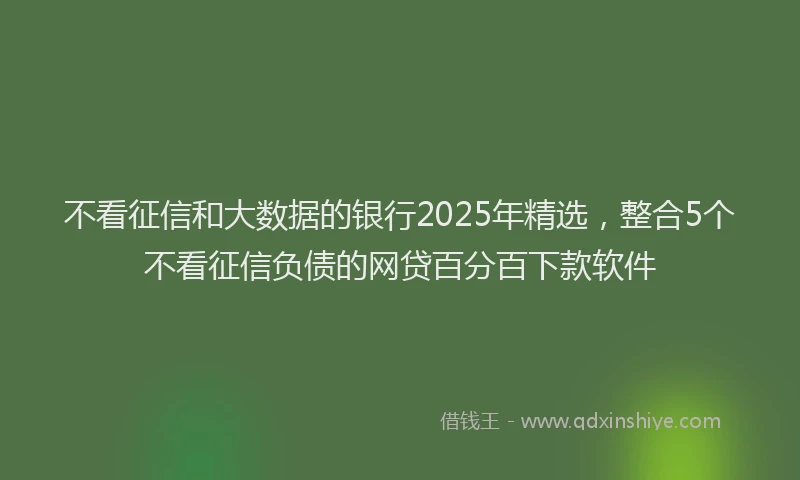 不看征信和大数据的银行2025年精选，整合5个不看征信负债的网贷百分百下款软件