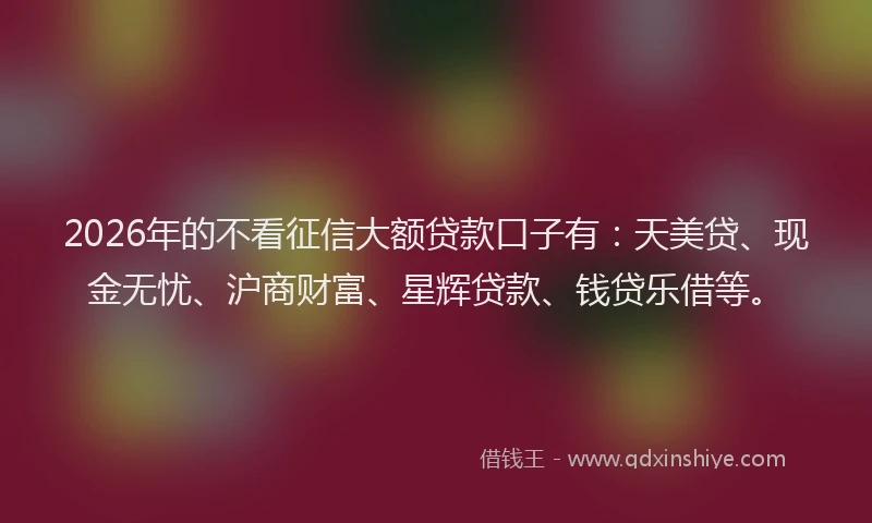 2026年的不看征信大额贷款口子有：天美贷、现金无忧、沪商财富、星辉贷款、钱贷乐借等。