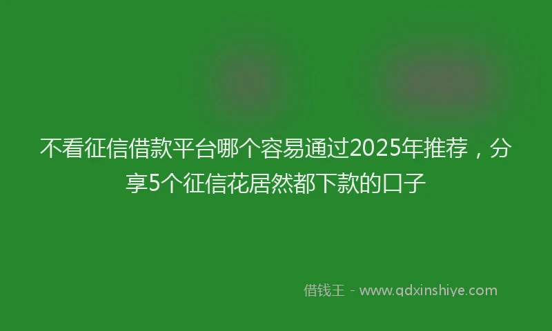 不看征信借款平台哪个容易通过2025年推荐,分享5个征信花居然都下款的口子