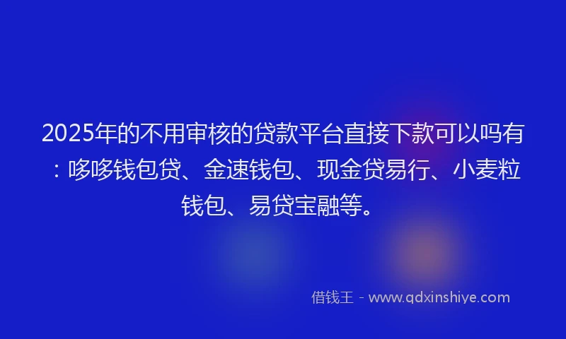 2025年的不用审核的贷款平台直接下款可以吗有:哆哆钱包贷、金速钱包、现金贷易行、小麦粒钱包、易贷宝融等。
