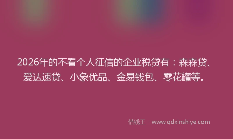 2026年的不看个人征信的企业税贷有：森森贷、爱达速贷、小象优品、金易钱包、零花罐等。