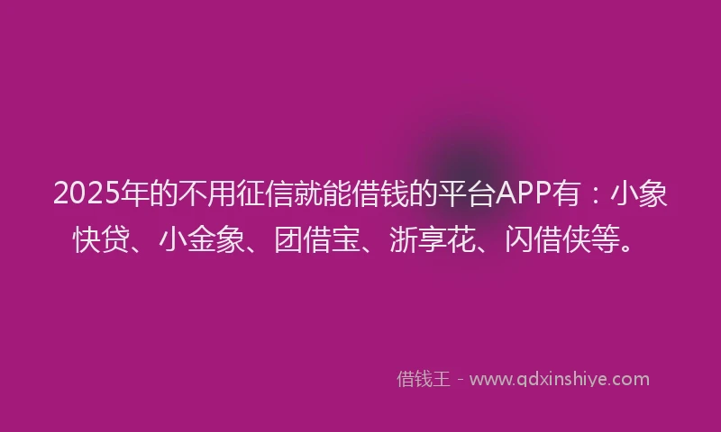 2025年的不用征信就能借钱的平台APP有:小象快贷、小金象、团借宝、浙享花、闪借侠等。