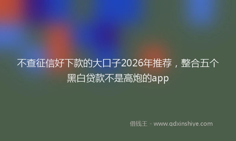 不查征信好下款的大口子2026年推荐，整合五个黑白贷款不是高炮的app