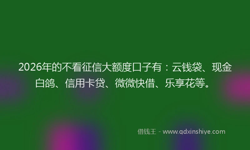 2026年的不看征信大额度口子有：云钱袋、现金白鸽、信用卡贷、微微快借、乐享花等。