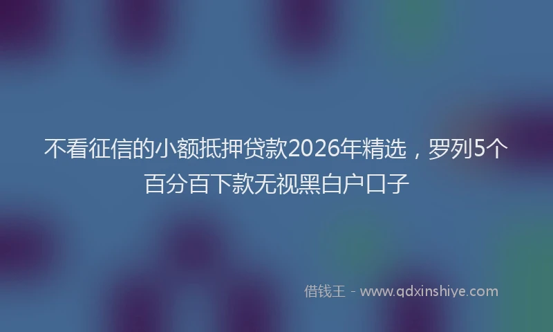 不看征信的小额抵押贷款2026年精选，罗列5个百分百下款无视黑白户口子