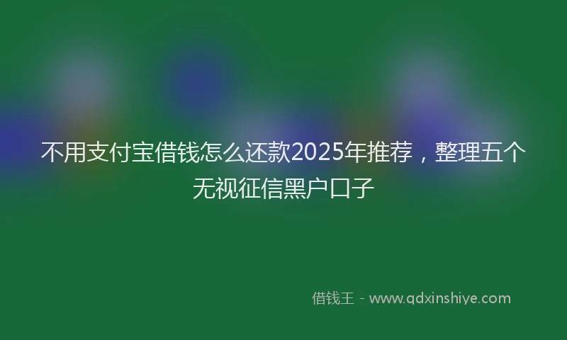 不用支付宝借钱怎么还款2025年推荐，整理五个无视征信黑户口子