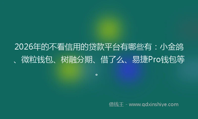 2026年的不看信用的贷款平台有哪些有：小金鸽、微粒钱包、树融分期、借了么、易捷Pro钱包等。