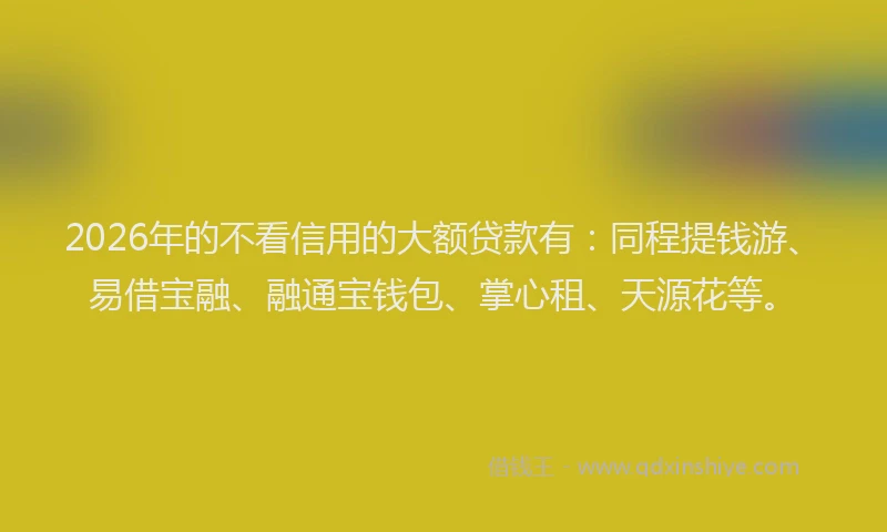 2026年的不看信用的大额贷款有:同程提钱游、易借宝融、融通宝钱包、掌心租、天源花等。