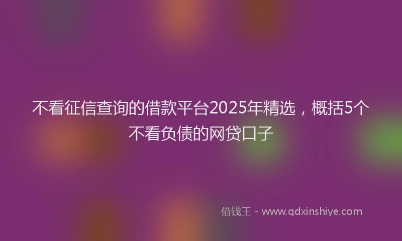 不看征信查询的借款平台2025年精选，概括5个不看负债的网贷口子