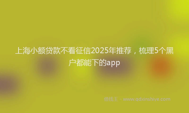上海小额贷款不看征信2025年推荐，梳理5个黑户都能下的app