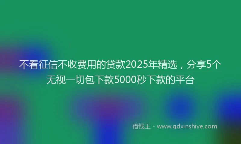 不看征信不收费用的贷款2025年精选，分享5个无视一切包下款5000秒下款的平台