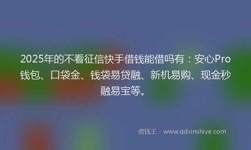 2025年的不看征信快手借钱能借吗有：安心Pro钱包、口袋金、钱袋易贷融、新机易购、现金秒融易宝等。