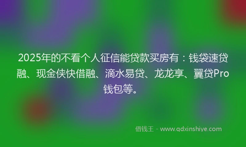 2025年的不看个人征信能贷款买房有：钱袋速贷融、现金侠快借融、滴水易贷、龙龙享、翼贷Pro钱包等。