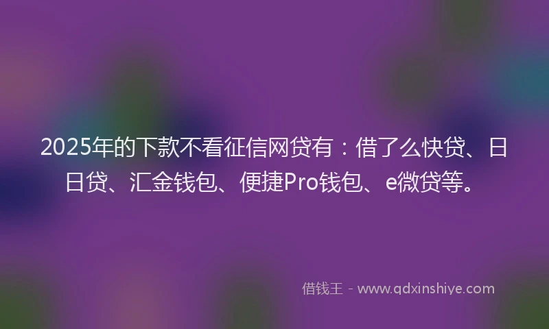 2025年的下款不看征信网贷有:借了么快贷、日日贷、汇金钱包、便捷Pro钱包、e微贷等。