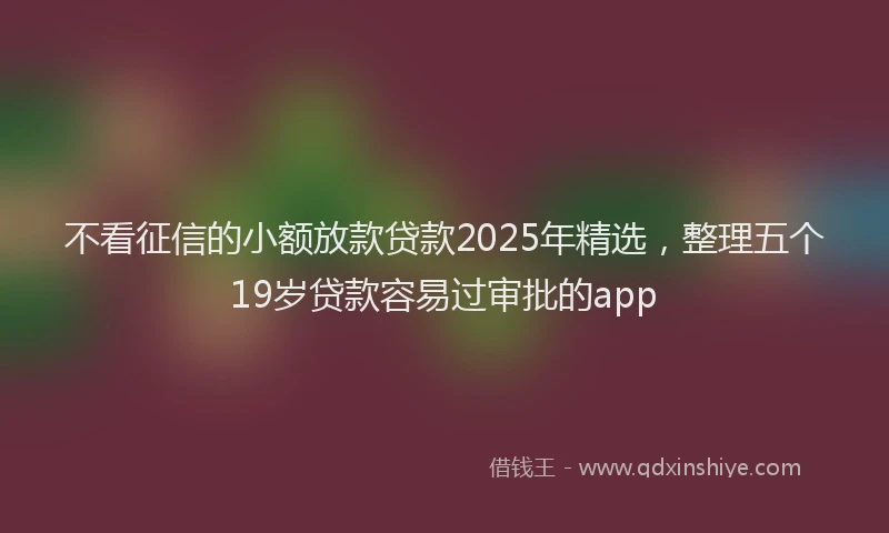 不看征信的小额放款贷款2025年精选，整理五个19岁贷款容易过审批的app