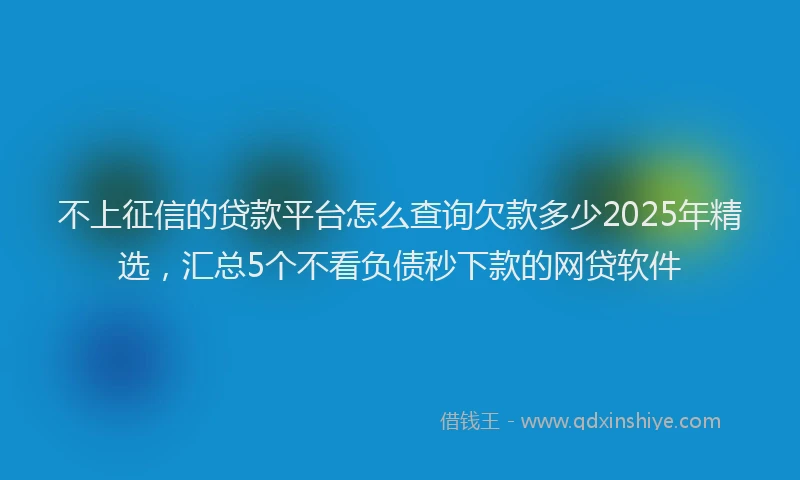 不上征信的贷款平台怎么查询欠款多少2025年精选,汇总5个不看负债秒下款的网贷软件