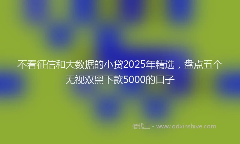 不看征信和大数据的小贷2025年精选，盘点五个无视双黑下款5000的口子