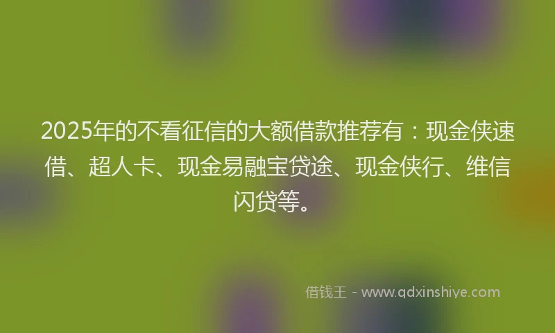2025年的不看征信的大额借款推荐有：现金侠速借、超人卡、现金易融宝贷途、现金侠行、维信闪贷等。
