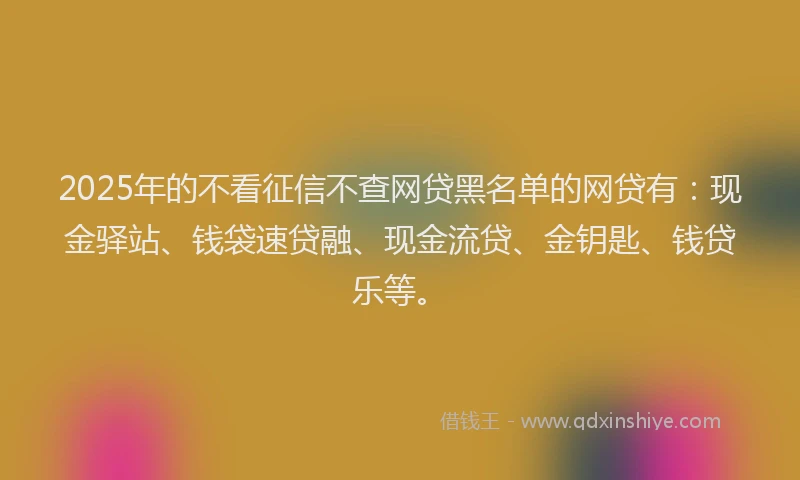2025年的不看征信不查网贷黑名单的网贷有：现金驿站、钱袋速贷融、现金流贷、金钥匙、钱贷乐等。