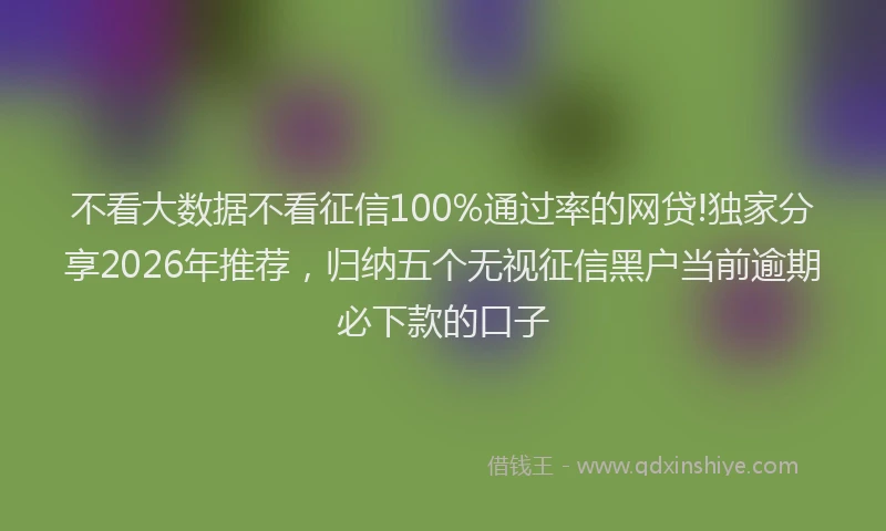 不看大数据不看征信100%通过率的网贷!独家分享2026年推荐，归纳五个无视征信黑户当前逾期必下款的口子