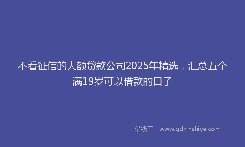 不看征信的大额贷款公司2025年精选，汇总五个满19岁可以借款的口子