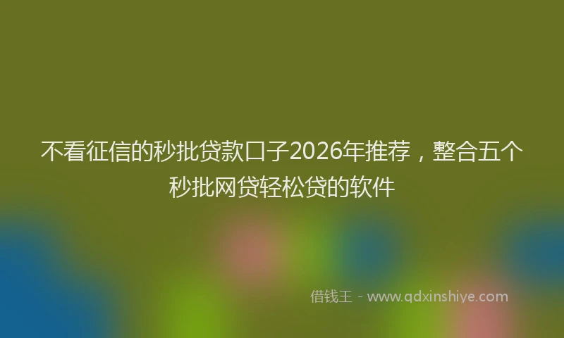 不看征信的秒批贷款口子2026年推荐，整合五个秒批网贷轻松贷的软件