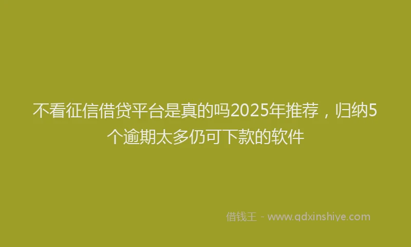 不看征信借贷平台是真的吗2025年推荐，归纳5个逾期太多仍可下款的软件