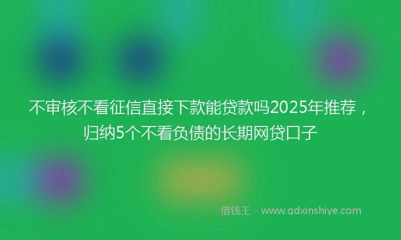 不审核不看征信直接下款能贷款吗2025年推荐，归纳5个不看负债的长期网贷口子