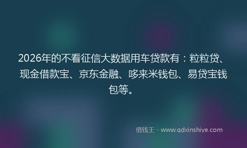 2026年的不看征信大数据用车贷款有：粒粒贷、现金借款宝、京东金融、哆来米钱包、易贷宝钱包等。