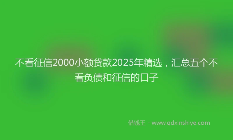 不看征信2000小额贷款2025年精选，汇总五个不看负债和征信的口子