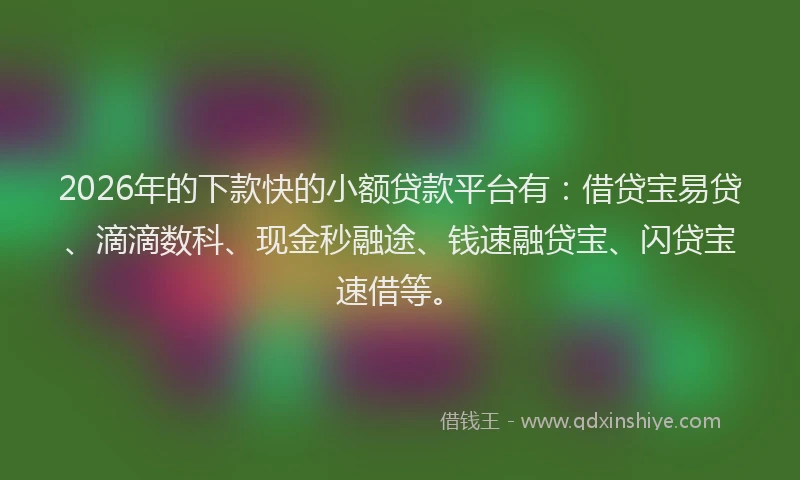 2026年的下款快的小额贷款平台有：借贷宝易贷、滴滴数科、现金秒融途、钱速融贷宝、闪贷宝速借等。