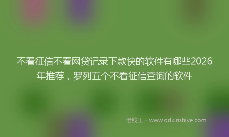 不看征信不看网贷记录下款快的软件有哪些2026年推荐，罗列五个不看征信查询的软件