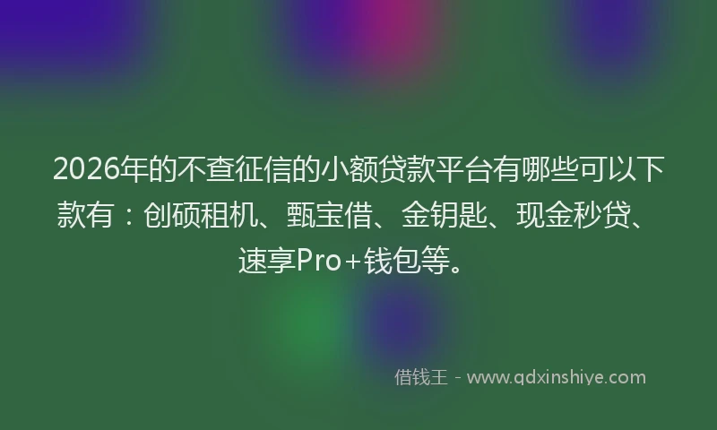 2026年的不查征信的小额贷款平台有哪些可以下款有：创硕租机、甄宝借、金钥匙、现金秒贷、速享Pro+钱包等。