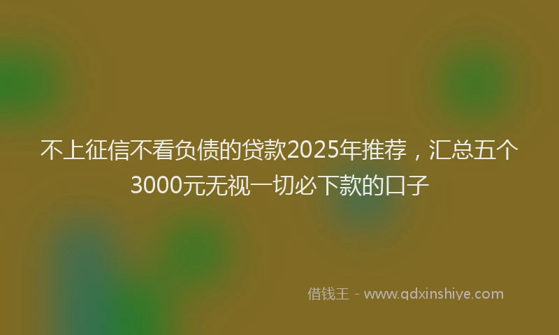不上征信不看负债的贷款2025年推荐，汇总五个3000元无视一切必下款的口子