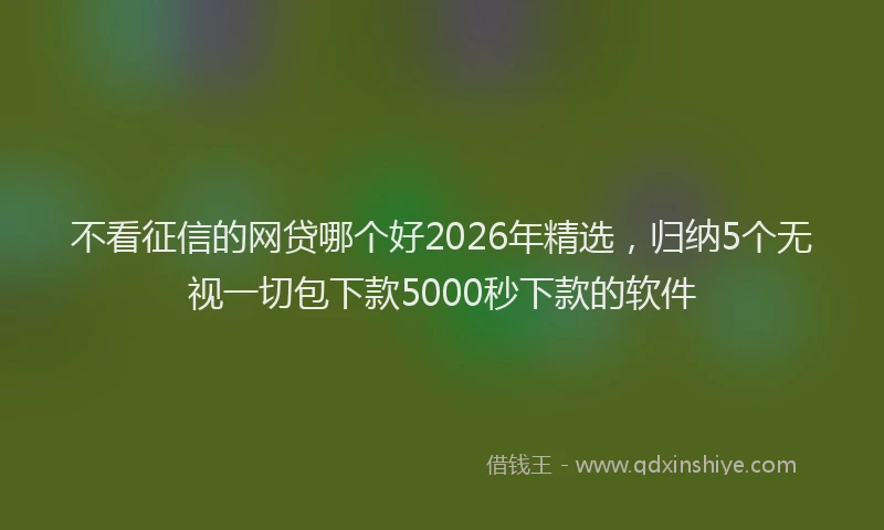 不看征信的网贷哪个好2026年精选，归纳5个无视一切包下款5000秒下款的软件