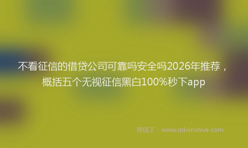 不看征信的借贷公司可靠吗安全吗2026年推荐，概括五个无视征信黑白100%秒下app